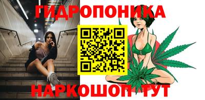 mdpv Краснознаменск