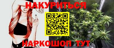 mdpv Краснознаменск