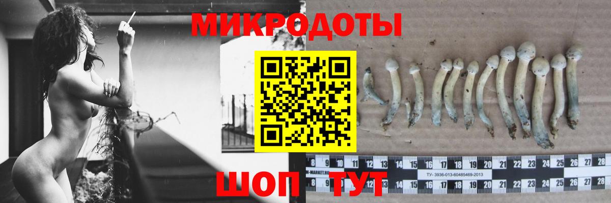 Псилоцибиновые грибы Magic Shrooms  Вход с VPN  Галлюциногенные грибы прущие грибы  Елизово 
